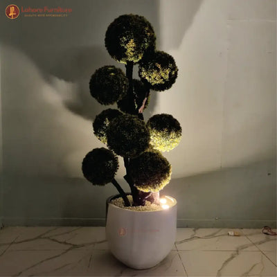 Beautiful 10 Head Plant