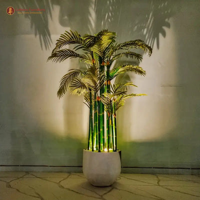 Stick Bamboo Plant for Indoor & Outdoor