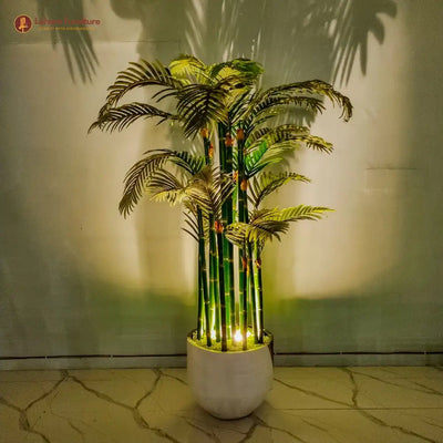 Stick Bamboo Plant for Indoor & Outdoor