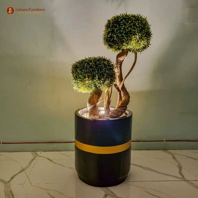 Beautiful 2 Head Plant