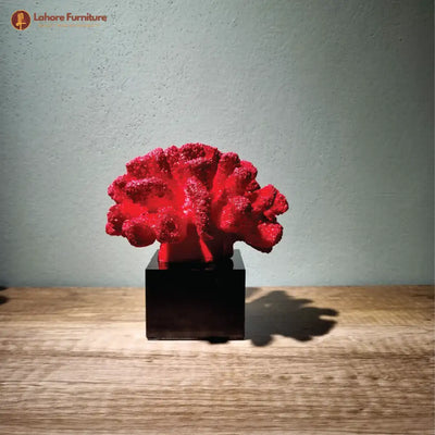 Decorative Artistic Coral