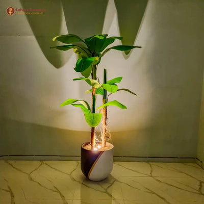 Lush Banana Leaf Plant