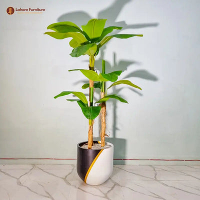 Lush Banana Leaf Plant