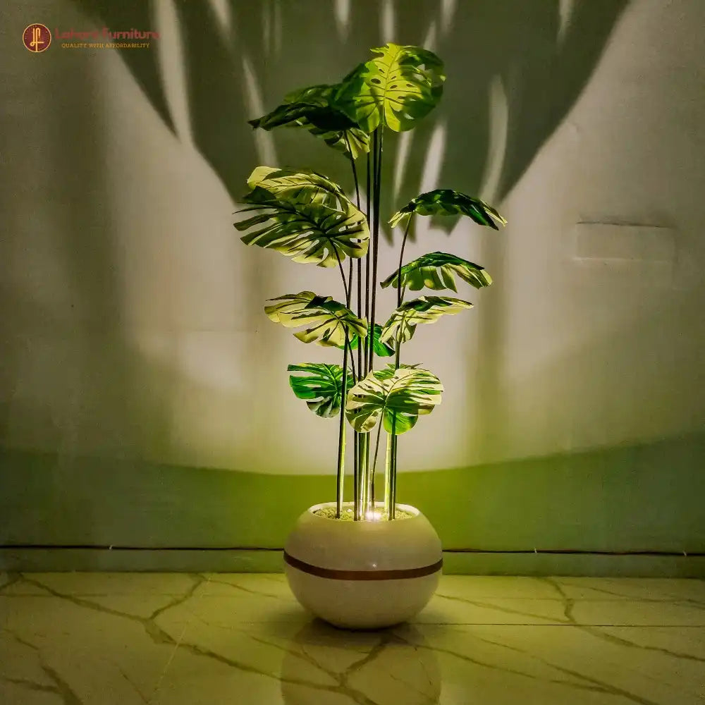 Elegant Cut Leaf Plant