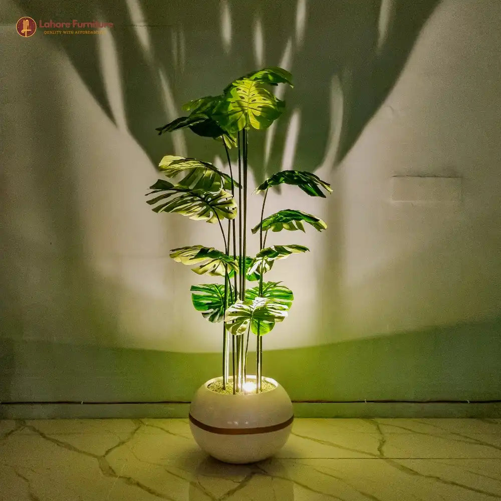 Elegant Cut Leaf Plant