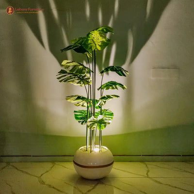 Elegant Cut Leaf Plant