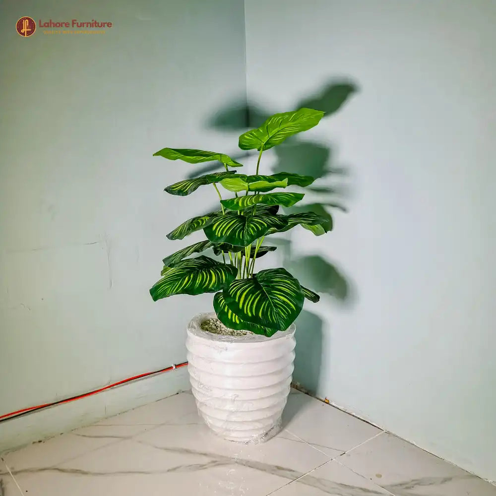 Leaf Plant with Elegant Ring Pot